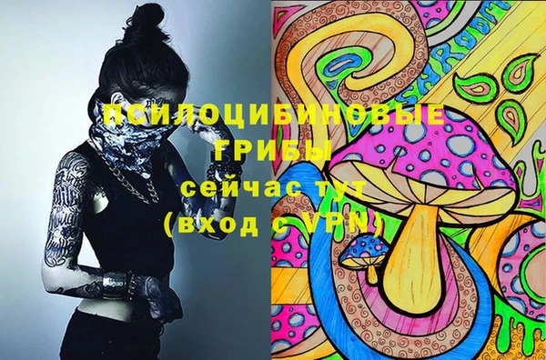 прущие грибы Балахна