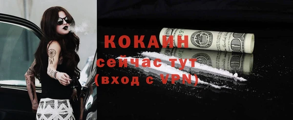 прущие грибы Балахна