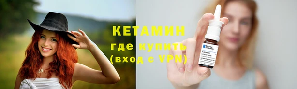 прущие грибы Балахна