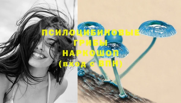 прущие грибы Балахна