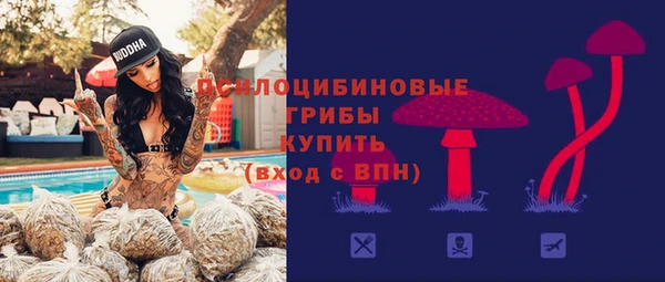 прущие грибы Балахна